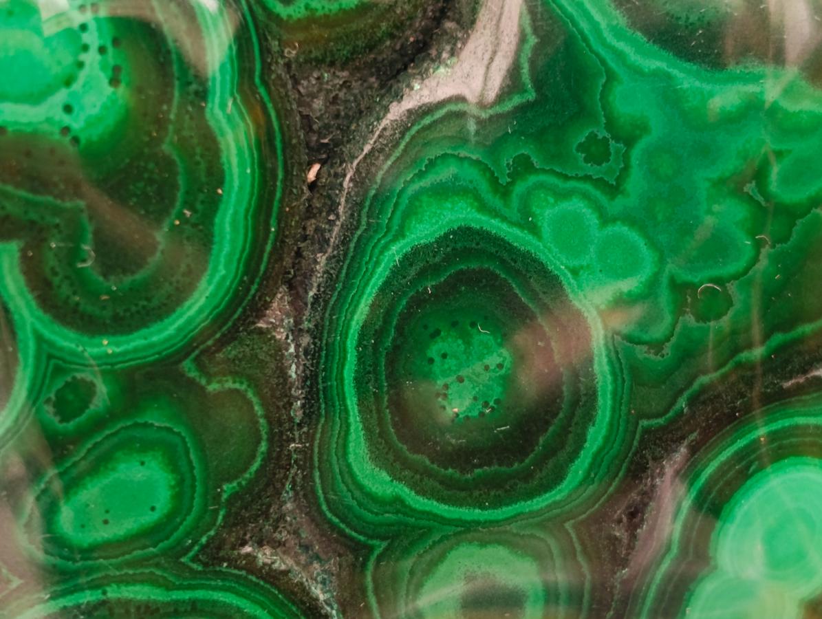 Polished Flower Banded Malachite Free Forms x 6 From Congo