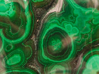 Polished Flower Banded Malachite Free Forms x 6 From Congo
