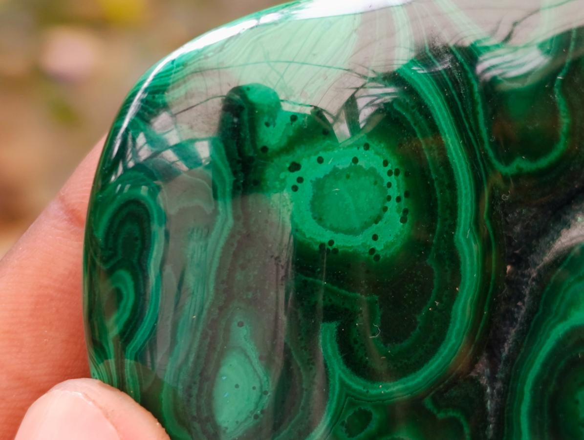 Polished Flower Banded Malachite Free Forms x 6 From Congo