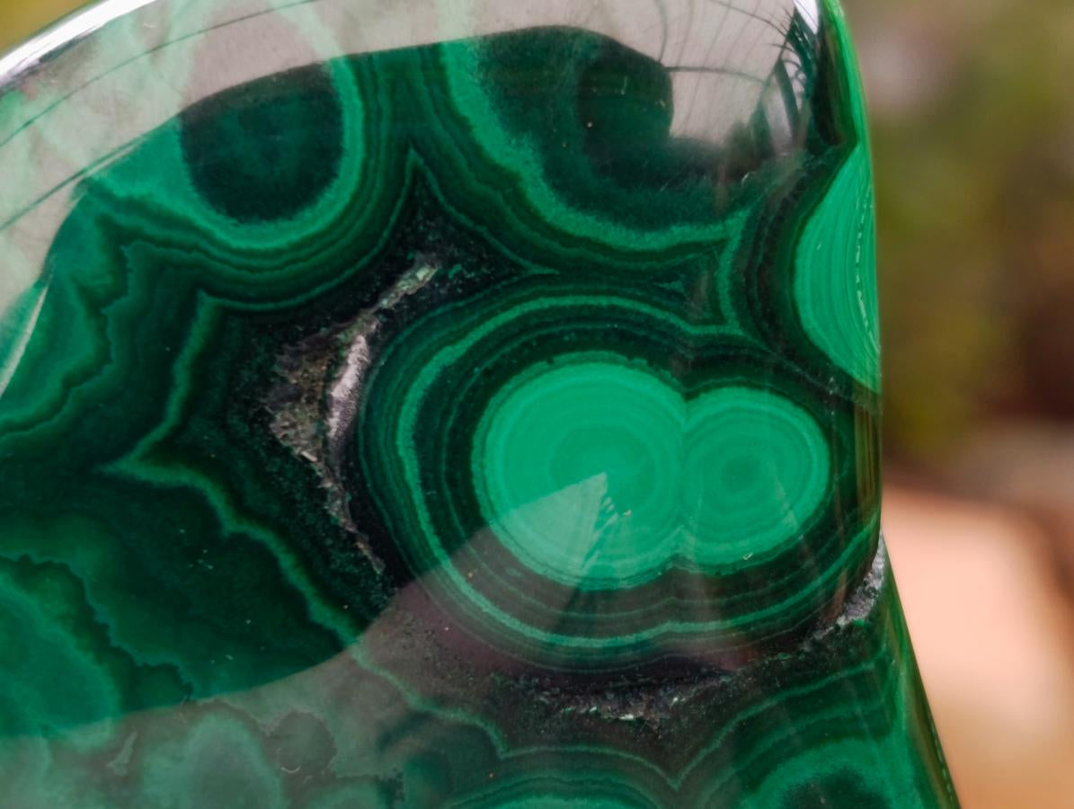 Polished Flower Banded Malachite Free Forms x 6 From Congo