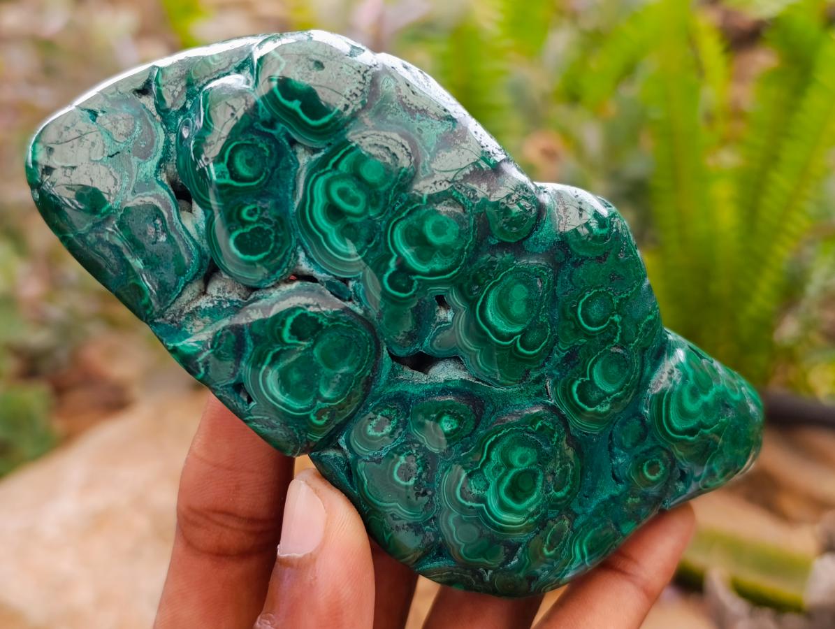 Polished Flower Banded Malachite Free Forms x 6 From Congo