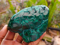 Polished Flower Banded Malachite Free Forms x 6 From Congo