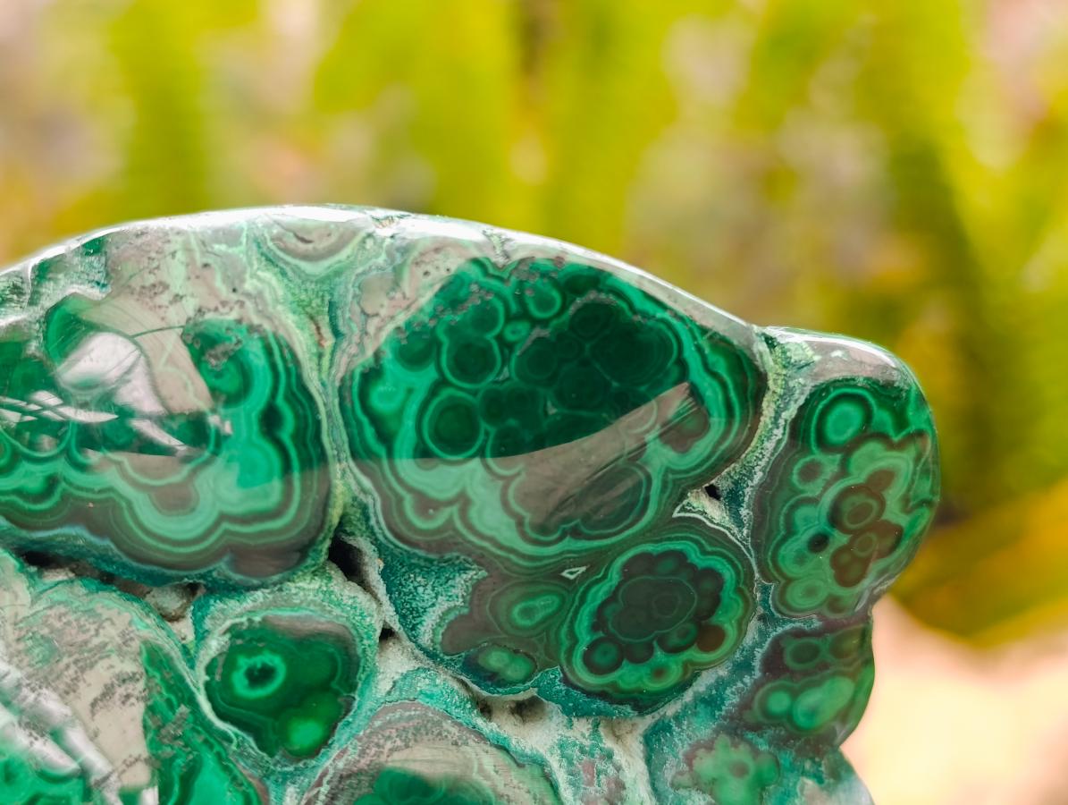 Polished Flower Banded Malachite Free Forms x 6 From Congo