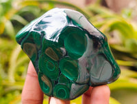 Polished Flower Banded Malachite Free Forms x 6 From Congo
