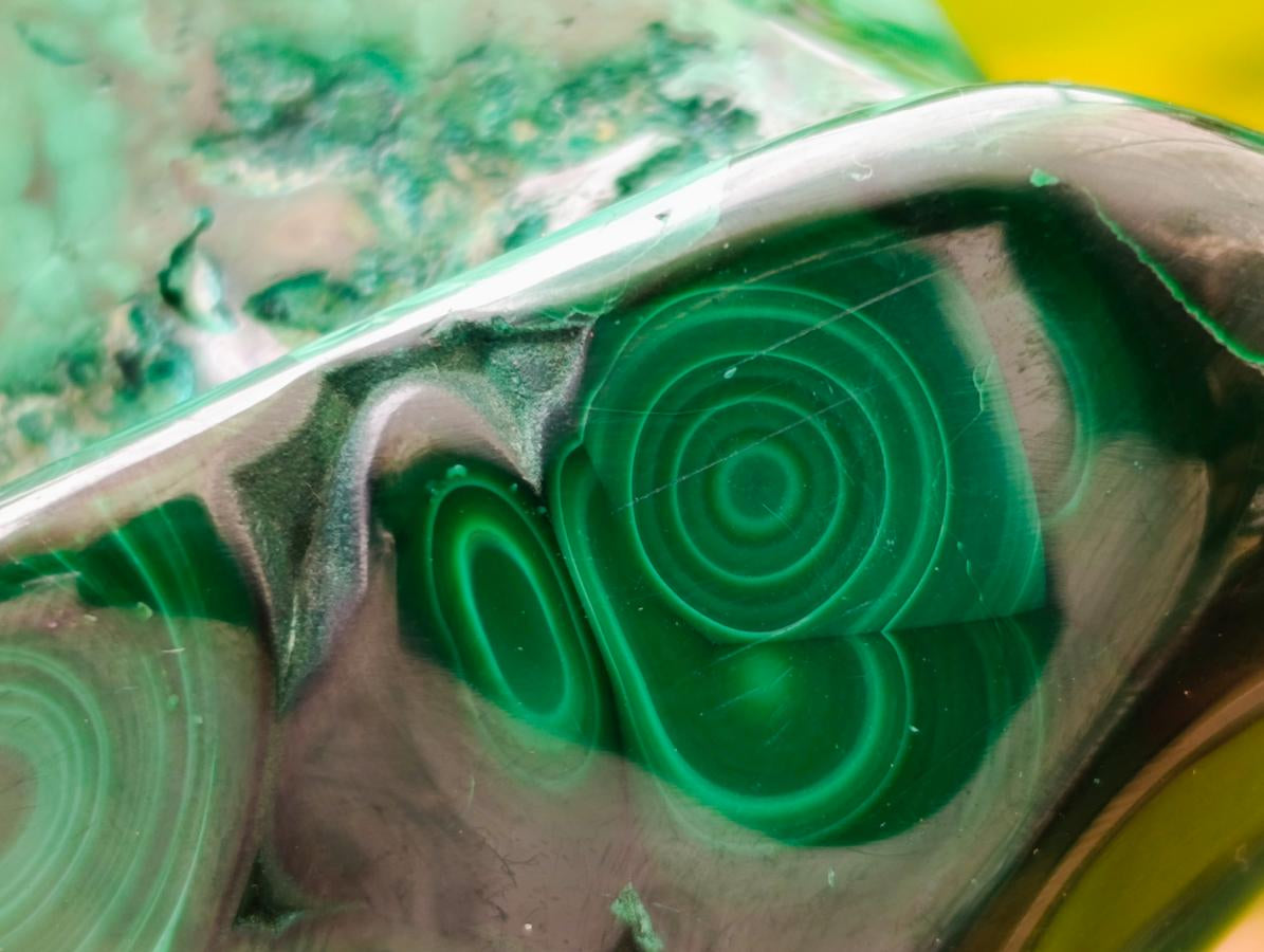 Polished Flower Banded Malachite Free Forms x 6 From Congo