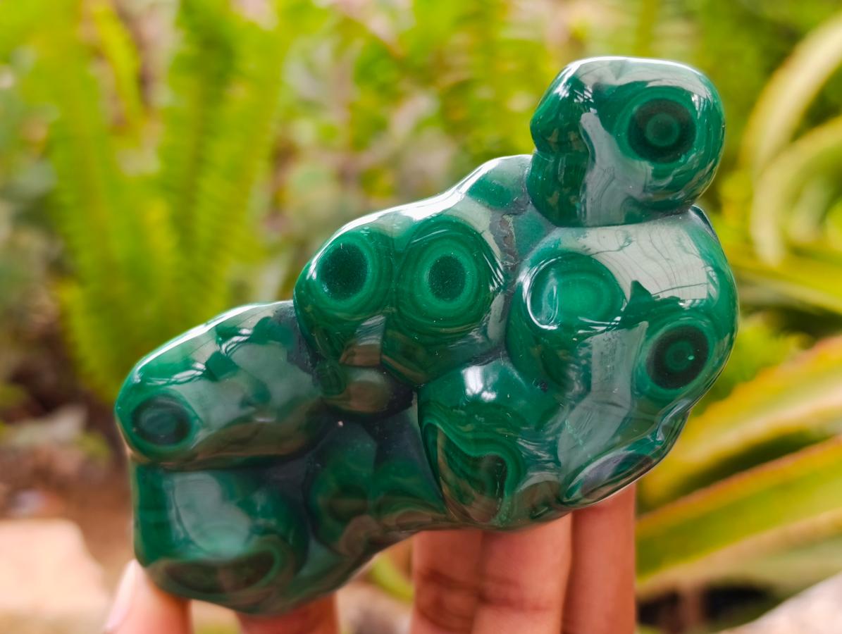 Polished Flower Banded Malachite Free Forms x 6 From Congo