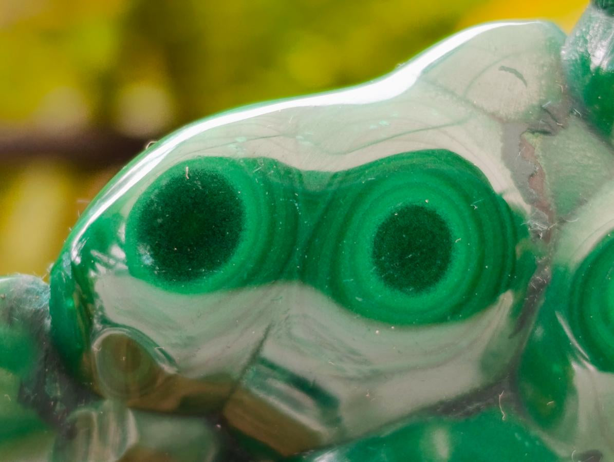 Polished Flower Banded Malachite Free Forms x 6 From Congo