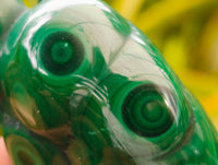 Polished Flower Banded Malachite Free Forms x 6 From Congo