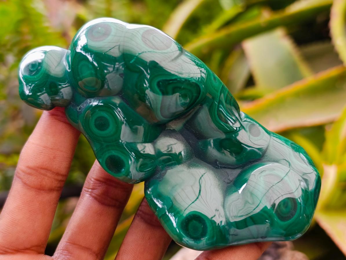 Polished Flower Banded Malachite Free Forms x 6 From Congo