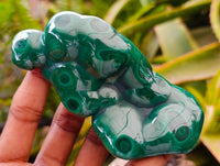 Polished Flower Banded Malachite Free Forms x 6 From Congo