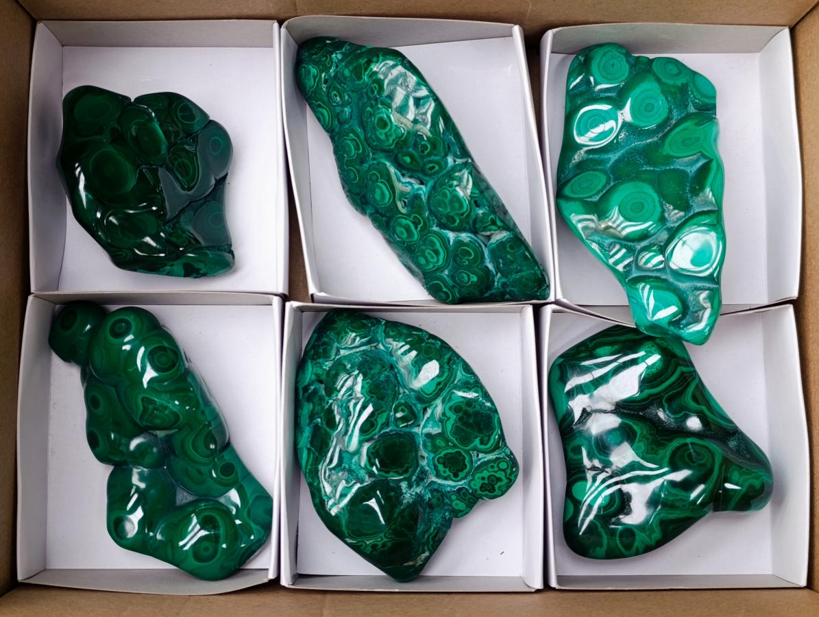 Polished Flower Banded Malachite Free Forms x 6 From Congo