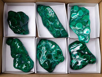 Polished Flower Banded Malachite Free Forms x 6 From Congo