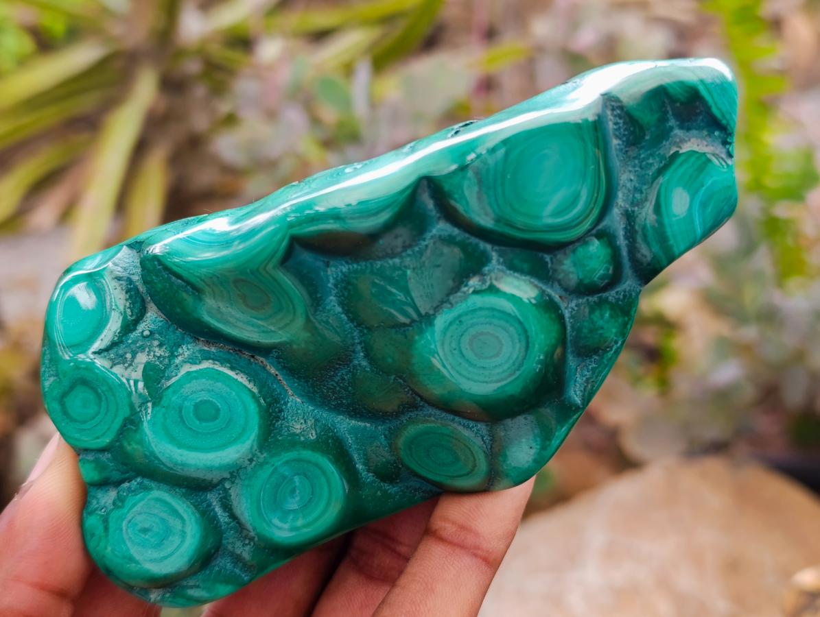 Polished Flower Banded Malachite Free Forms x 6 From Congo