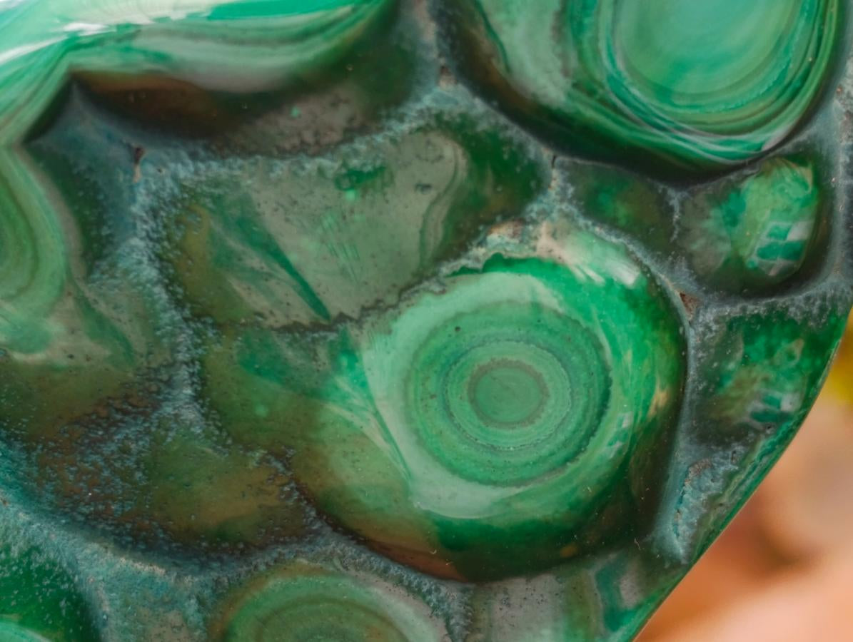 Polished Flower Banded Malachite Free Forms x 6 From Congo