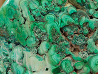 Polished Flower Banded Malachite Free Forms x 6 From Congo