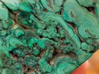 Polished Flower Banded Malachite Free Forms x 6 From Congo