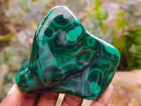 Polished Flower Banded Malachite Free Forms x 6 From Congo