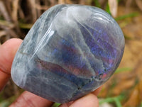 Polished Rare Purple Sunset Flash Labradorite Standing Free Forms x 12 From Madagascar