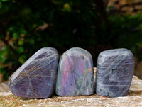 Polished Rare Purple Sunset Flash Labradorite Standing Free Forms x 12 From Madagascar