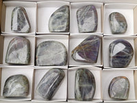 Polished Rare Purple Sunset Flash Labradorite Standing Free Forms x 12 From Madagascar