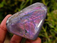 Polished Rare Purple Sunset Flash Labradorite Standing Free Forms x 12 From Madagascar