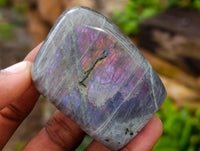 Polished Rare Purple Sunset Flash Labradorite Standing Free Forms x 12 From Madagascar