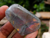 Polished Rare Purple Sunset Flash Labradorite Standing Free Forms x 12 From Madagascar