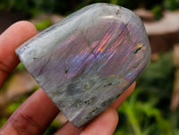 Polished Rare Purple Sunset Flash Labradorite Standing Free Forms x 12 From Madagascar