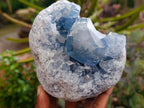 Natural Blue Celestite Specimens x 2 From Sakoany, Madagascar