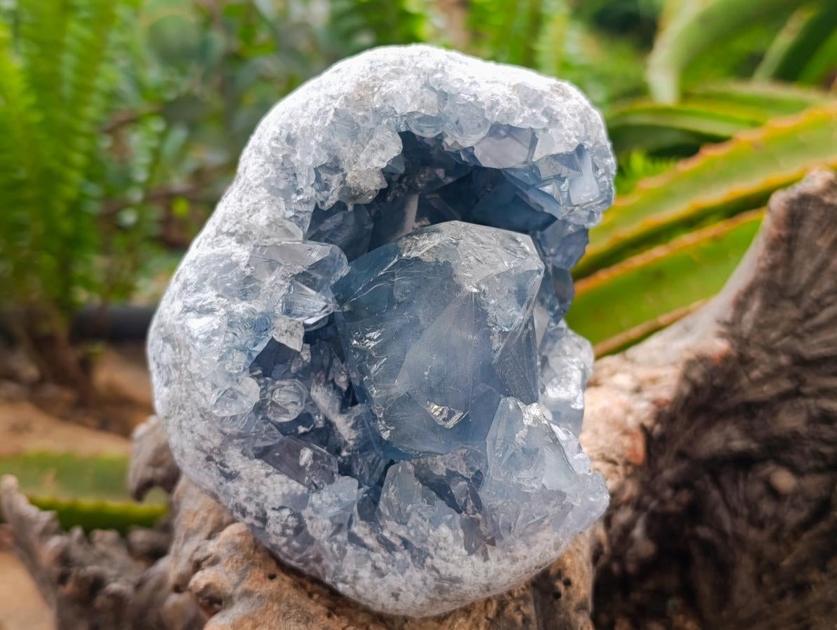 Natural Blue Celestite Specimens x 2 From Sakoany, Madagascar
