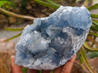 Natural Blue Celestite Specimens x 2 From Sakoany, Madagascar