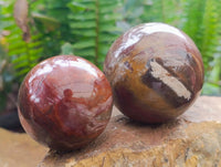 Polished Red Podocarpus Petrified Wood Spheres x 6 From Mahajanga, Madagascar