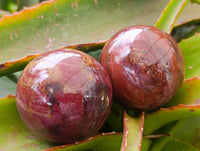 Polished Red Podocarpus Petrified Wood Spheres x 6 From Mahajanga, Madagascar