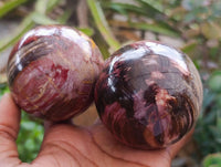 Polished Red Podocarpus Petrified Wood Spheres x 6 From Mahajanga, Madagascar