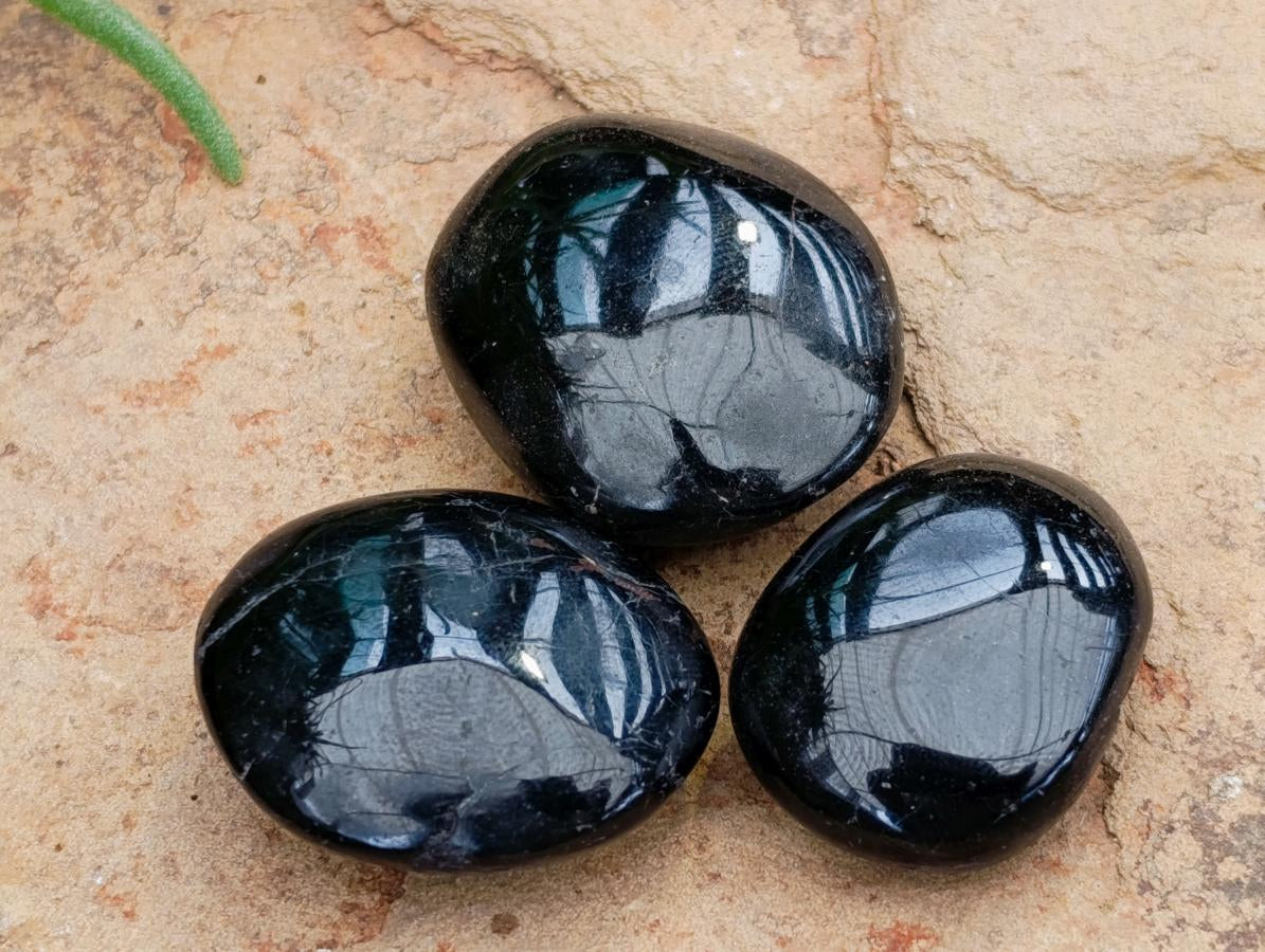 Polished Black Tourmaline Mini Free Forms x 35 From Madagascar