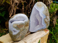 Polished Blue Lace Agate Standing Free Forms x 6 From Nsanje, Malawi