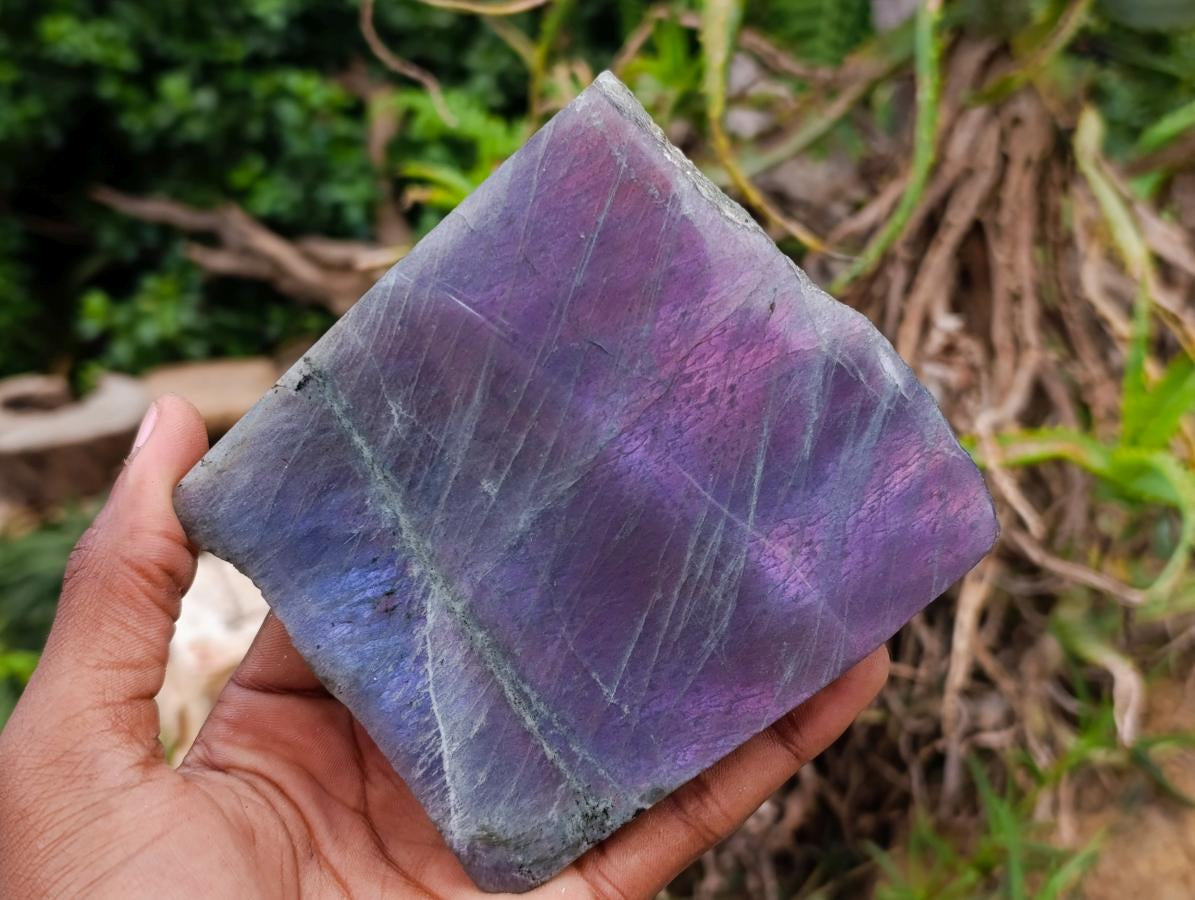 Polished One Side Labradorite Display Piece x 4 From Madagascar