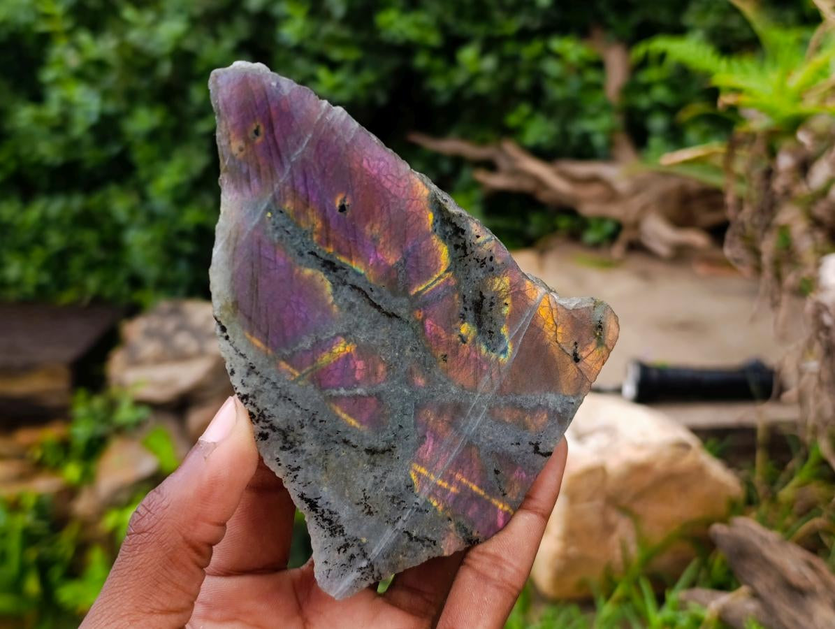 Polished One Side Labradorite Display Piece x 4 From Madagascar