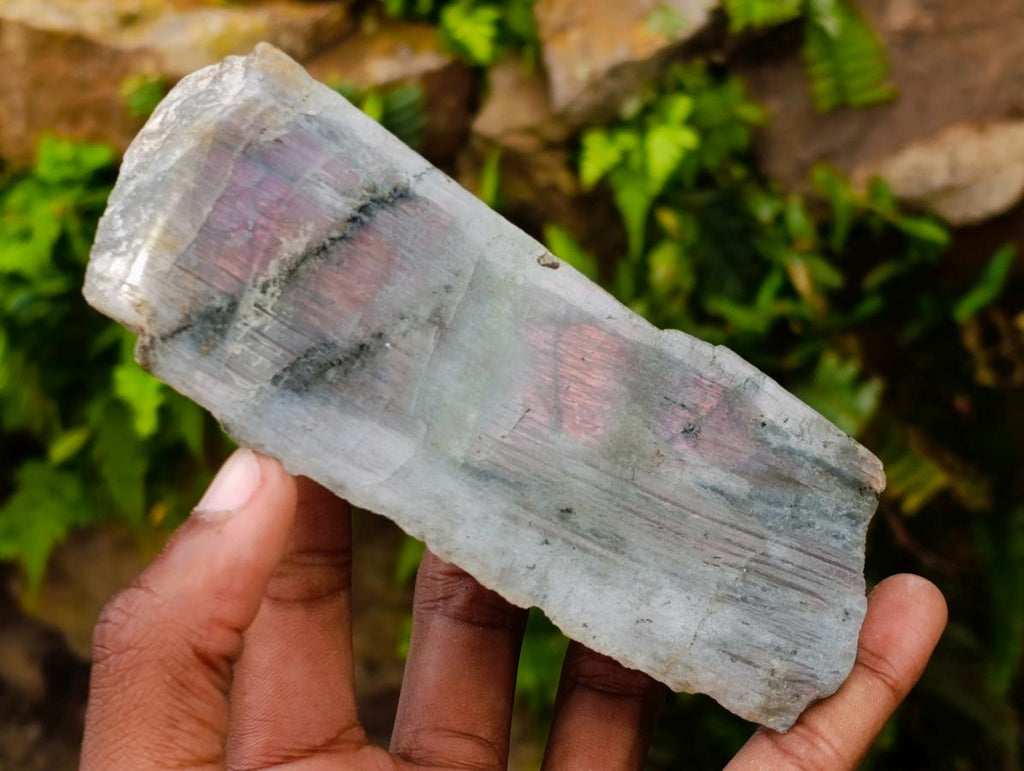 Polished One Side Labradorite Display Piece x 4 From Madagascar