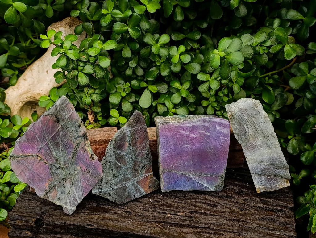 Polished One Side Labradorite Display Piece x 4 From Madagascar