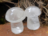 Polished Clear Quartz and Girasol Mushrooms x 12 From Madagascar