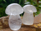 Polished Clear Quartz and Girasol Mushrooms x 12 From Madagascar
