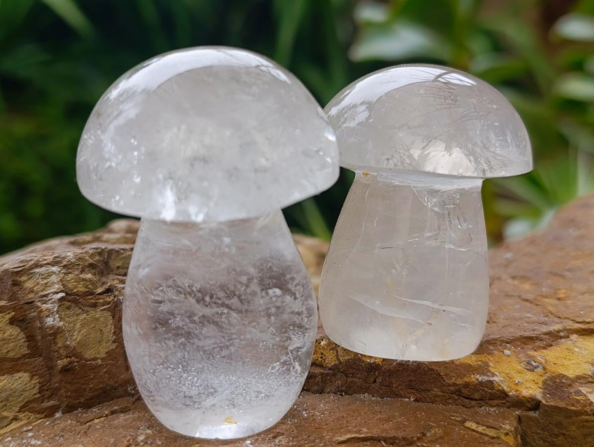 Polished Clear Quartz and Girasol Mushrooms x 12 From Madagascar