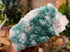 Natural Cubic Green Fluorite Cluster Specimen x 1 From Mandrosonoro, Madagascar