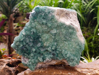 Natural Cubic Green Fluorite Cluster Specimen x 1 From Mandrosonoro, Madagascar