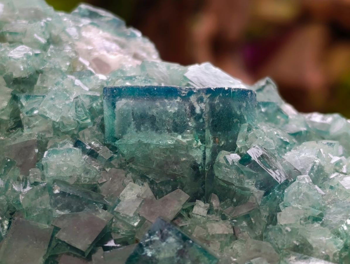 Natural Cubic Green Fluorite Cluster Specimen x 1 From Mandrosonoro, Madagascar