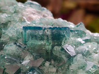 Natural Cubic Green Fluorite Cluster Specimen x 1 From Mandrosonoro, Madagascar