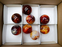 Polished Carnelian Agate Gemstone Spheres x 8 From Madagascar