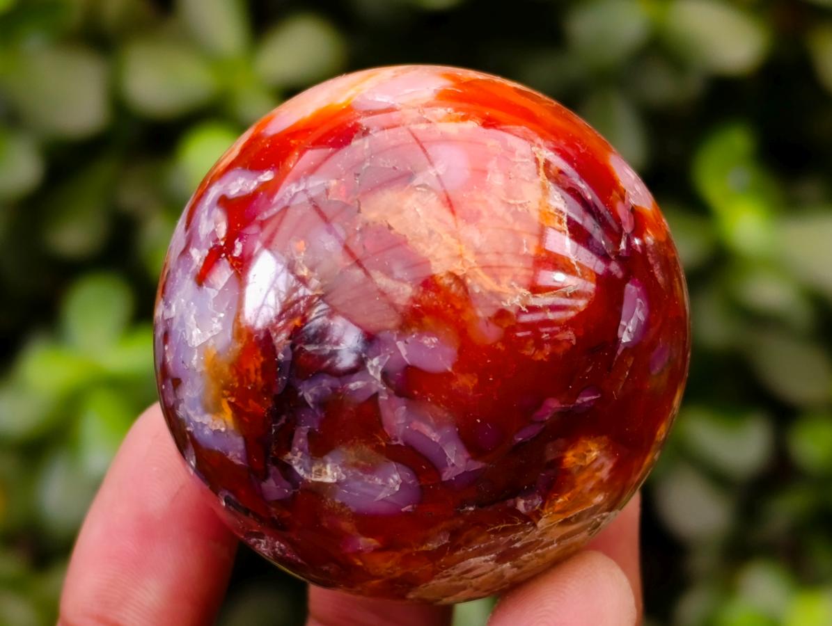 Polished Carnelian Agate Gemstone Spheres x 8 From Madagascar