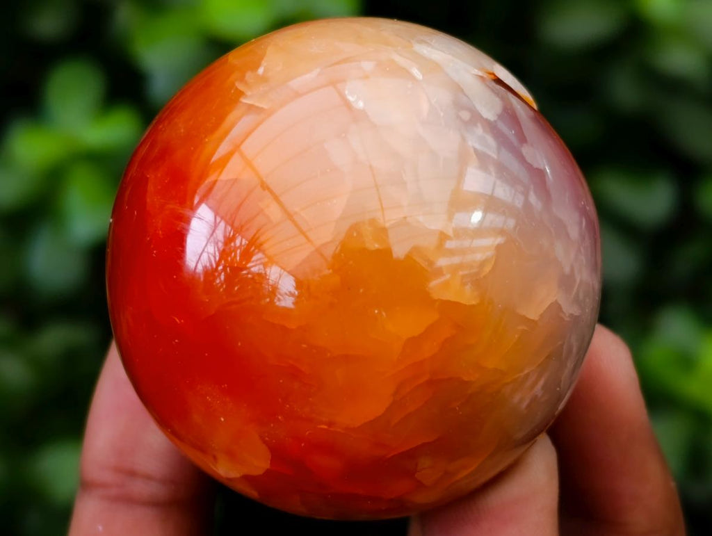 Polished Carnelian Agate Gemstone Spheres x 8 From Madagascar